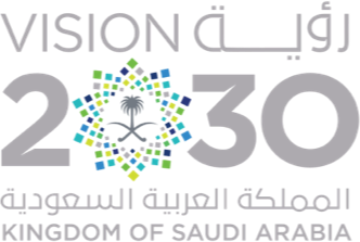 Vision 2030